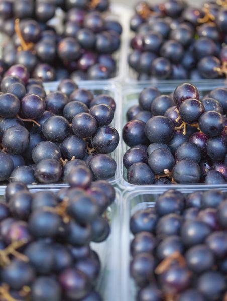 Figure 4: Fresh muscadines can be found in NC farmers markets